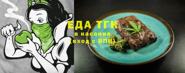 дживик Верхний Тагил