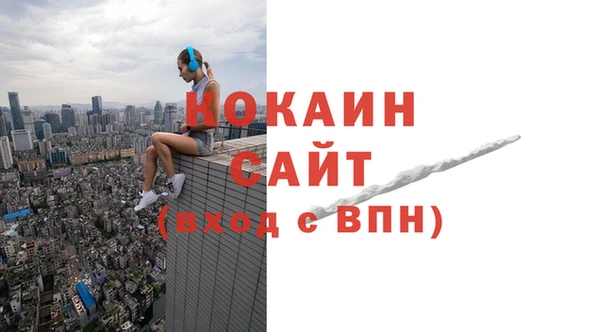 дживик Верхний Тагил