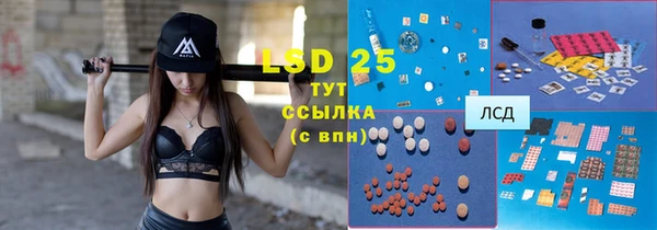 дживик Верхний Тагил