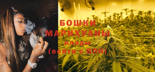 дживик Верхний Тагил