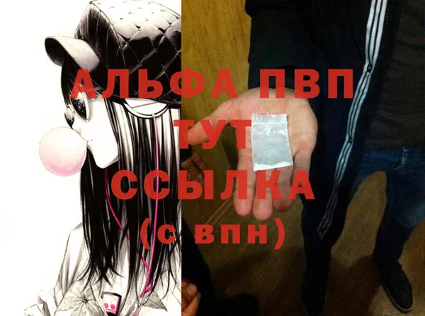 дживик Верхний Тагил