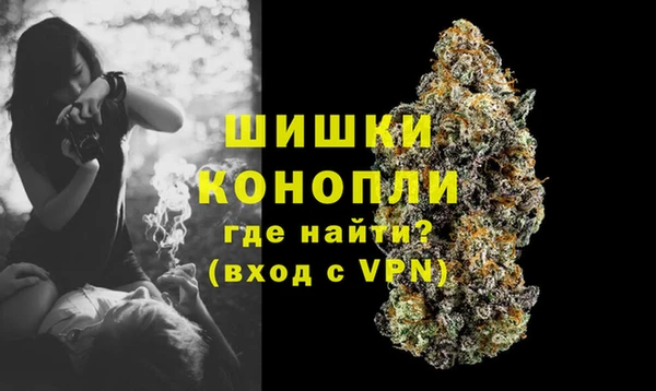 дживик Верхний Тагил