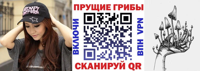 Галлюциногенные грибы Psilocybine cubensis  как найти закладки  Горбатов 